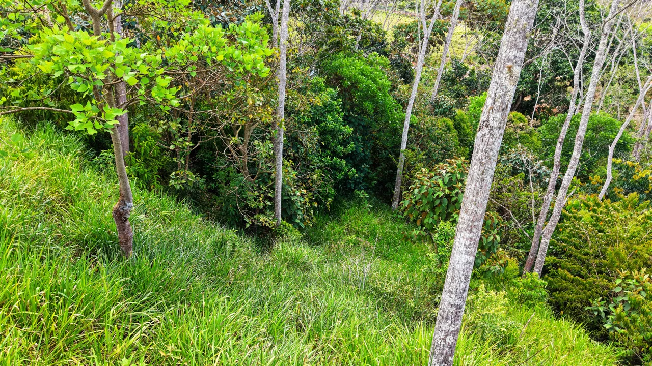 EN VENTA: LOTE LISTO PARA CONSTRUIR CON PRIVACIDAD EN SANTA ROSA, photo 7
