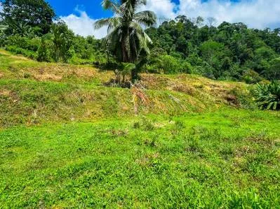 Lot 17, Ocean View Parcel in Ojochal, 5 Ventanas – 1,965 m² (0.48 acres) Build-Ready Property, photo 7