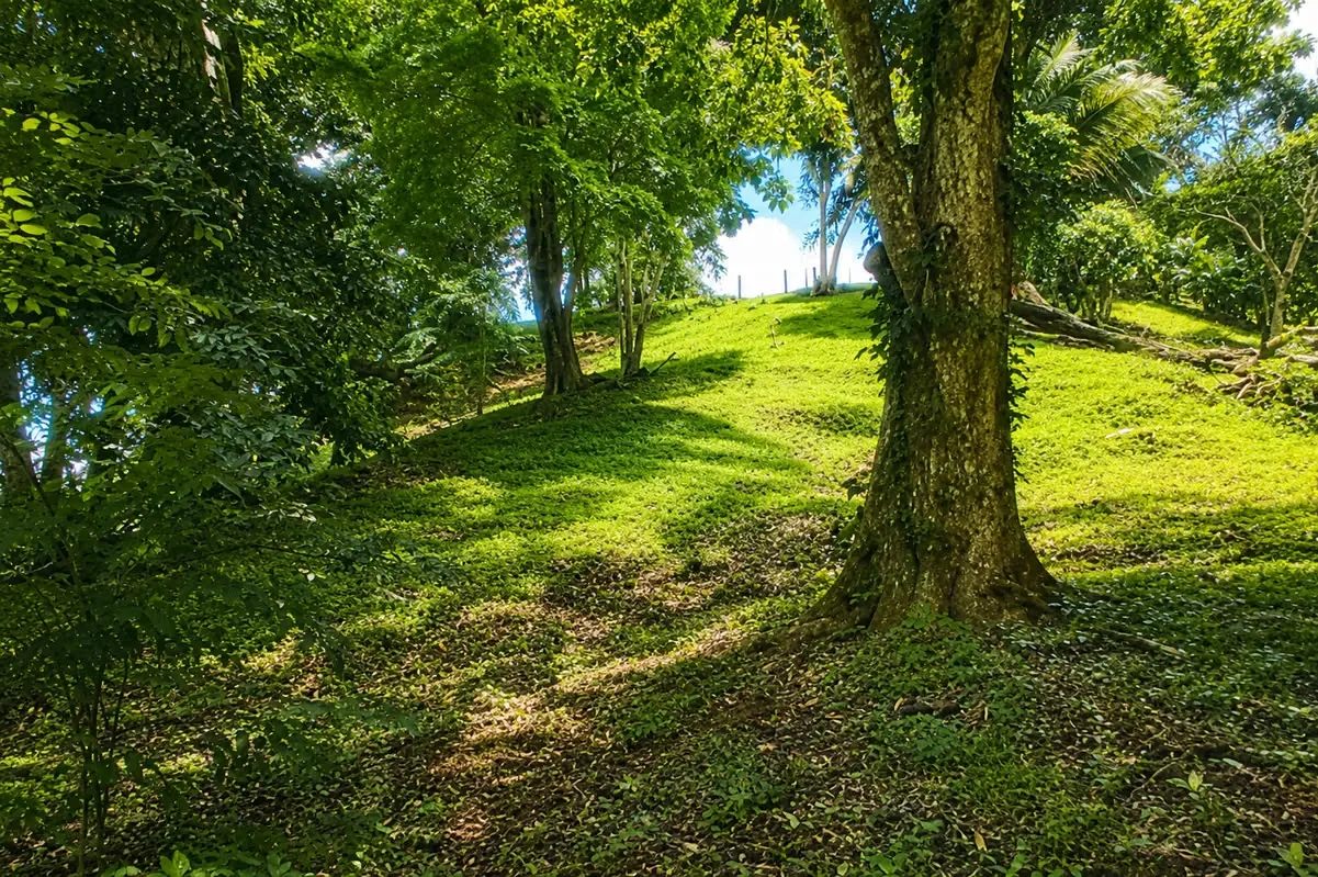 BUILD YOUR DREAM HOME AT NATIVA RESORT, COSTA RICA