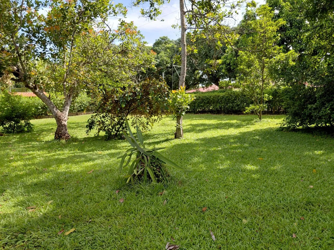Lote en Venta en La Ceiba ,Orotina