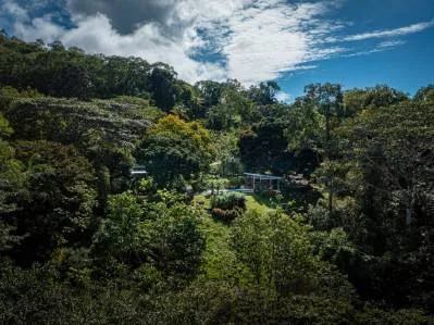Propiedad inmobiliaria, usos múltiples, photo 6