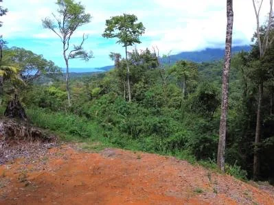 Hermoso Lote con Vista a la Montaña y al Mar