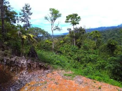 Hermoso Lote con Vista a la Montaña y al Mar, photo 7