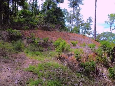 Hermoso Lote con Vista a la Montaña y al Mar, photo 10