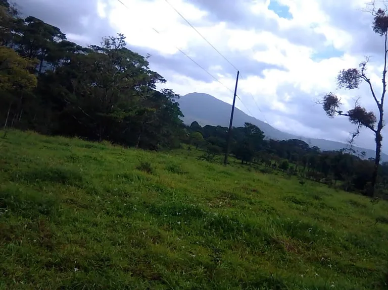 Agricultural Land in Aguas Claras, photo 12