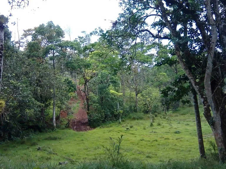 Agricultural Land in Aguas Claras, photo 15