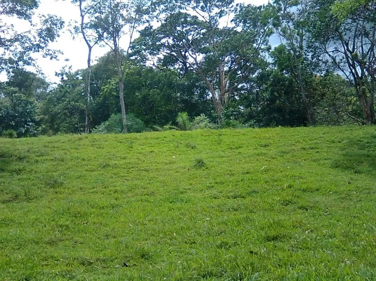 Agricultural Land in Aguas Claras, photo 4