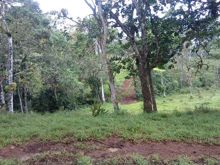 Agricultural Land in Aguas Claras, photo 9