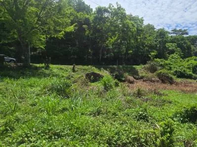 Lote estratégico cerca de Puerto Caldera y Ruta 27 – Ideal para desarrollo logístico o comercial, photo 4
