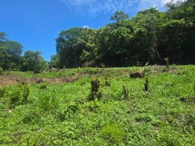 Lote estratégico cerca de Puerto Caldera y Ruta 27 – Ideal para desarrollo logístico o comercial, photo 6