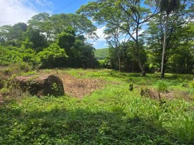 Lote estratégico cerca de Puerto Caldera y Ruta 27 – Ideal para desarrollo logístico o comercial, photo 9