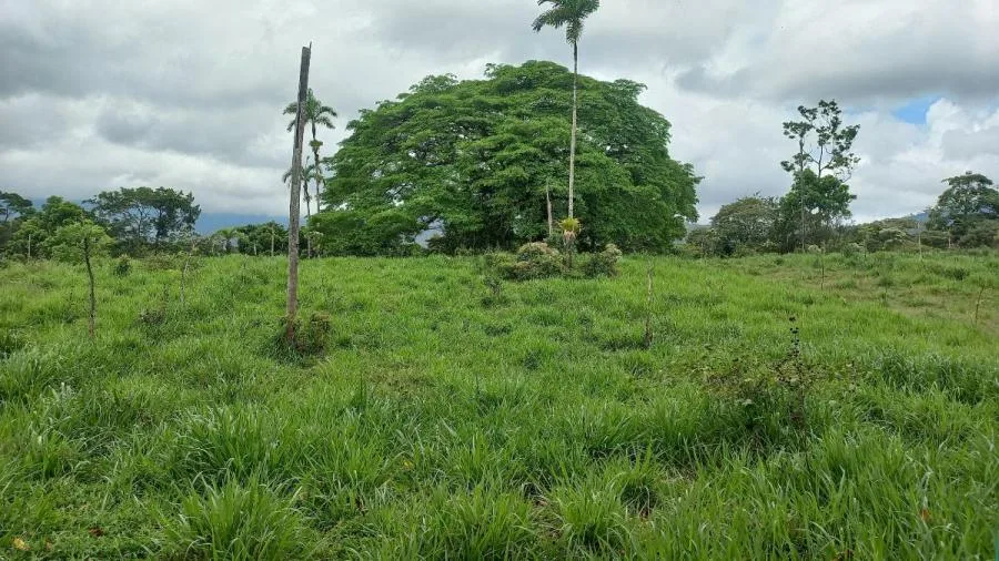 Venta de Finca en Upala JJS 23-1616 - Venta en Upala