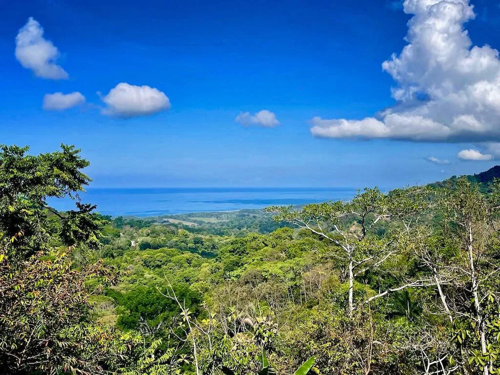 LUXURY OCEAN VIEW HOME FOR SALE  WITH GUEST CASITA – 2.4 ACRES, photo 12