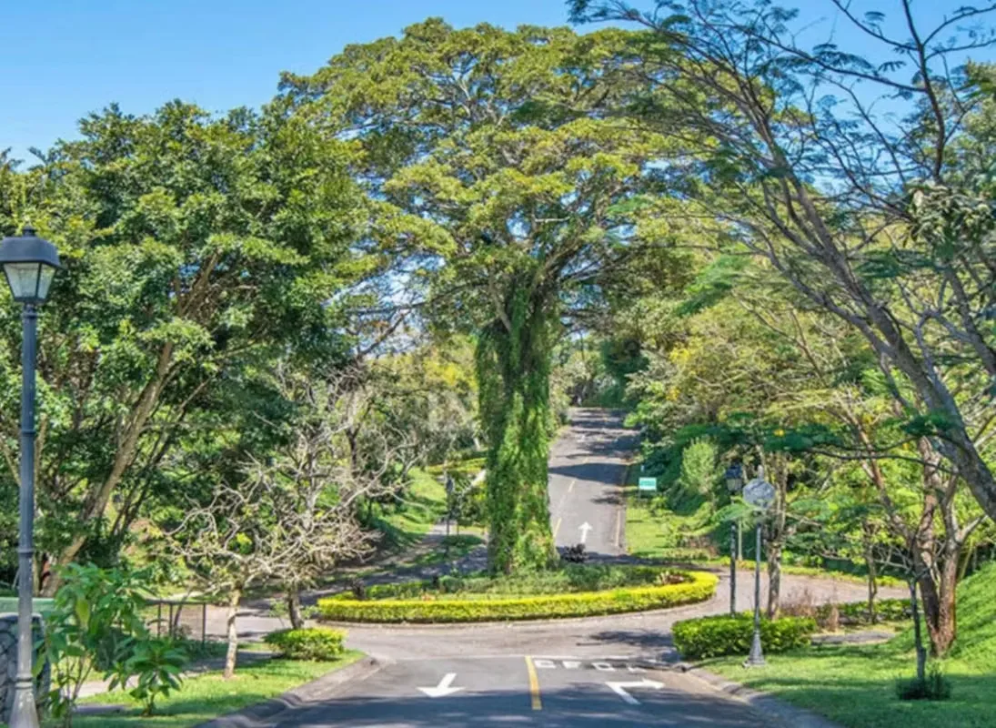 FOR SALE- LOT WITH PANORAMIC VIEWS – CIUDAD COLON, photo 2