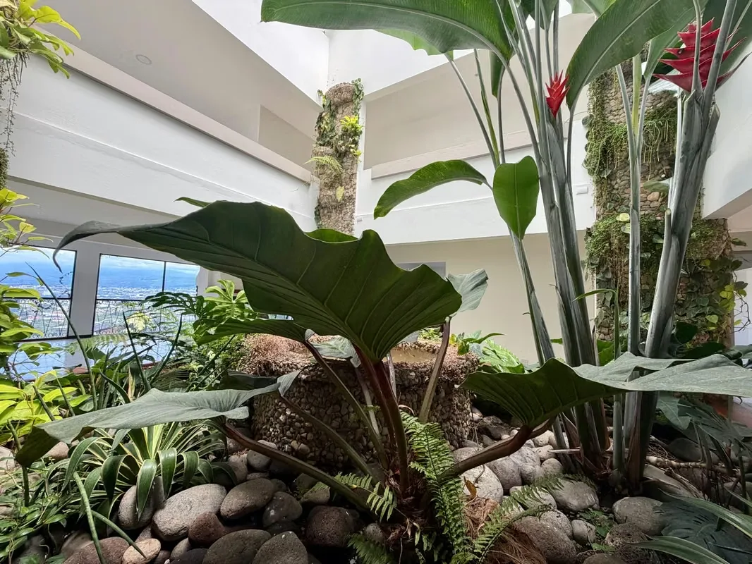 Esta hermosa propiedad, de estilo único, se encuentra en un residencial muy tranquilo y seguro, en Bello Horizonte de Escazú, de fácil acceso, cerca de comercio en general., photo 4