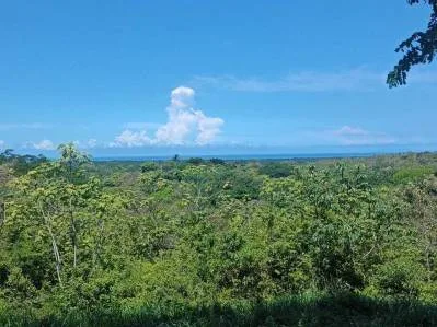 Quinta de 1.6 Hectáreas con Vistas al Mar, Parque Nacional Carara y Río