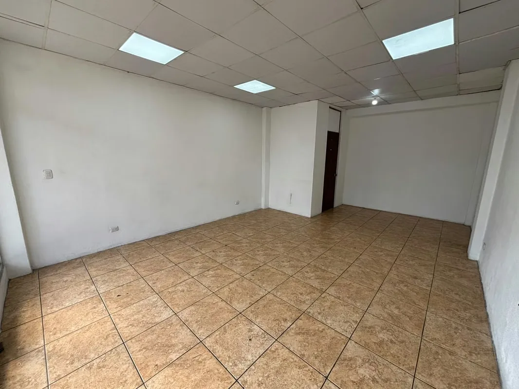 COMMERCIAL SPACE FOR RENT IN SAN PEDRO, photo 4