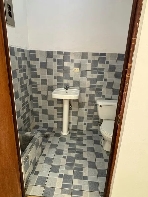 COMMERCIAL SPACE FOR RENT IN SAN PEDRO, photo 5