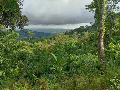 Terreno con vista al mar a solo 4 minutos de la cascada El Pavón, photo 6