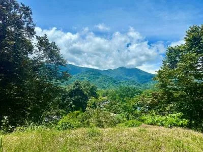 Lote en Calle Cacique de Ojochal | Fácil acceso y vistas espectaculares a las montañas, photo 3