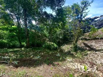 Lote en Calle Cacique de Ojochal | Fácil acceso y vistas espectaculares a las montañas, photo 8