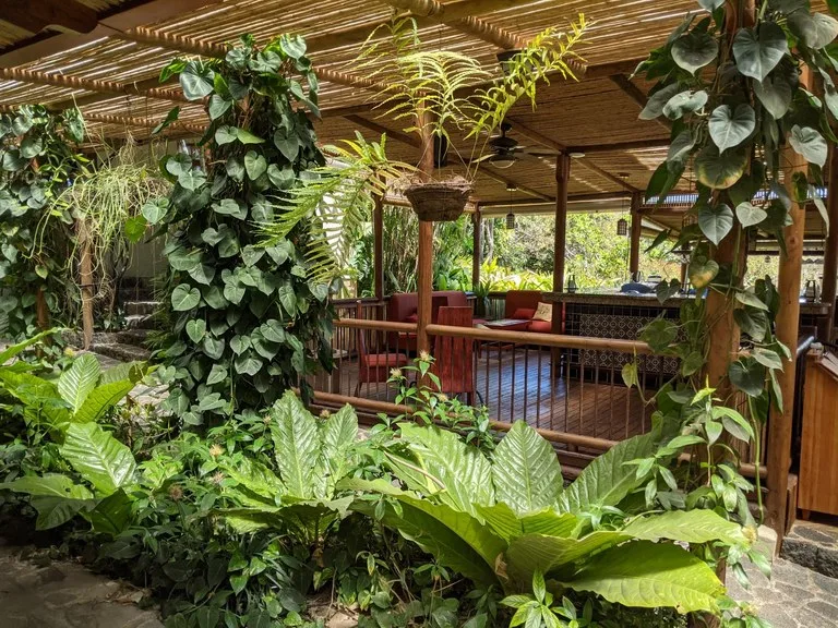 Coffee Estate and Boutique Hotel: Costa Rica’s Premier Eco-Luxury Organic Coffee Estate & Boutique Hotel, photo 11