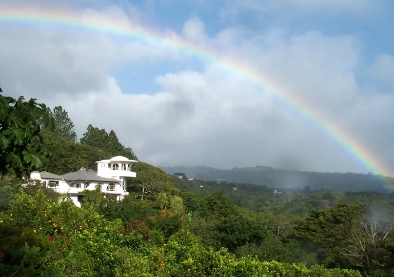 Coffee Estate and Boutique Hotel: Costa Rica’s Premier Eco-Luxury Organic Coffee Estate & Boutique Hotel, photo 8