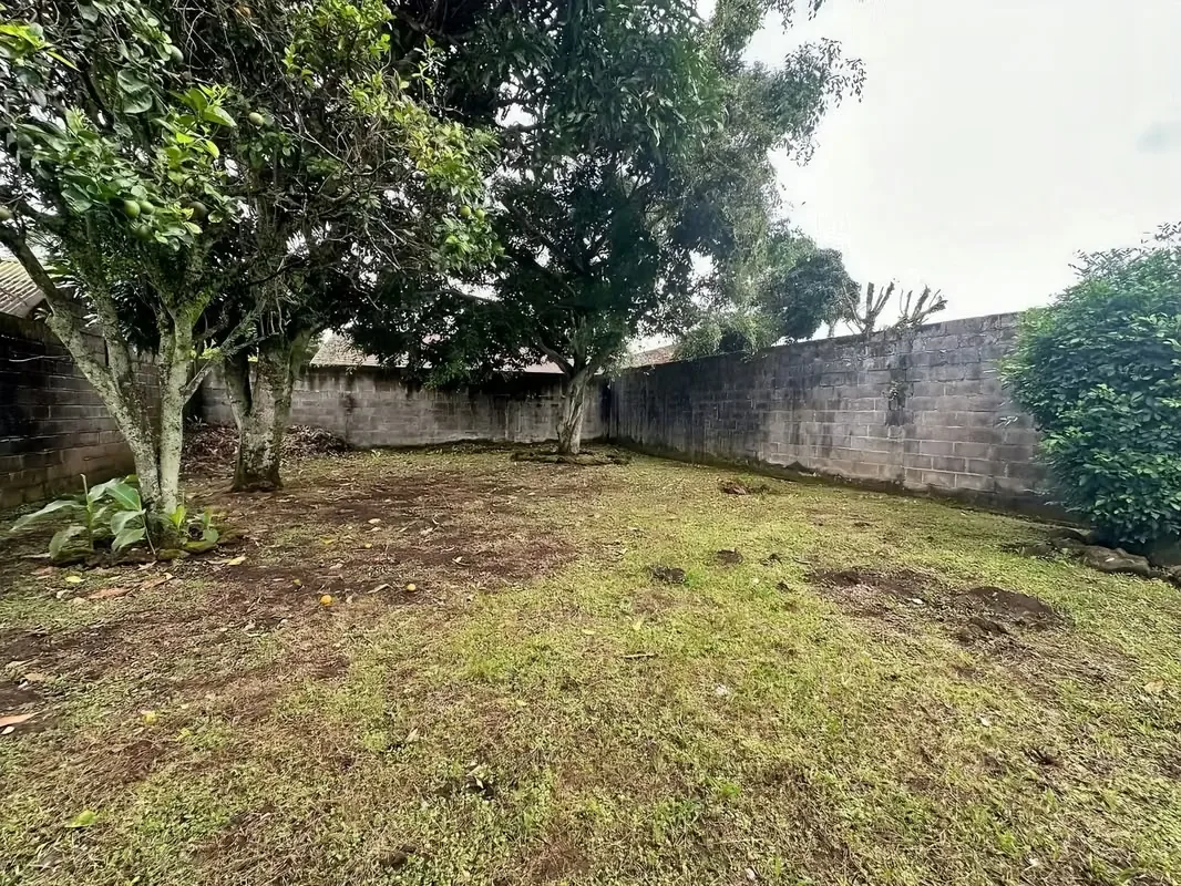 Commercial Property of 517 m2 for Sale - 124; Guayabos de Curridabat - Joint Use, photo 5