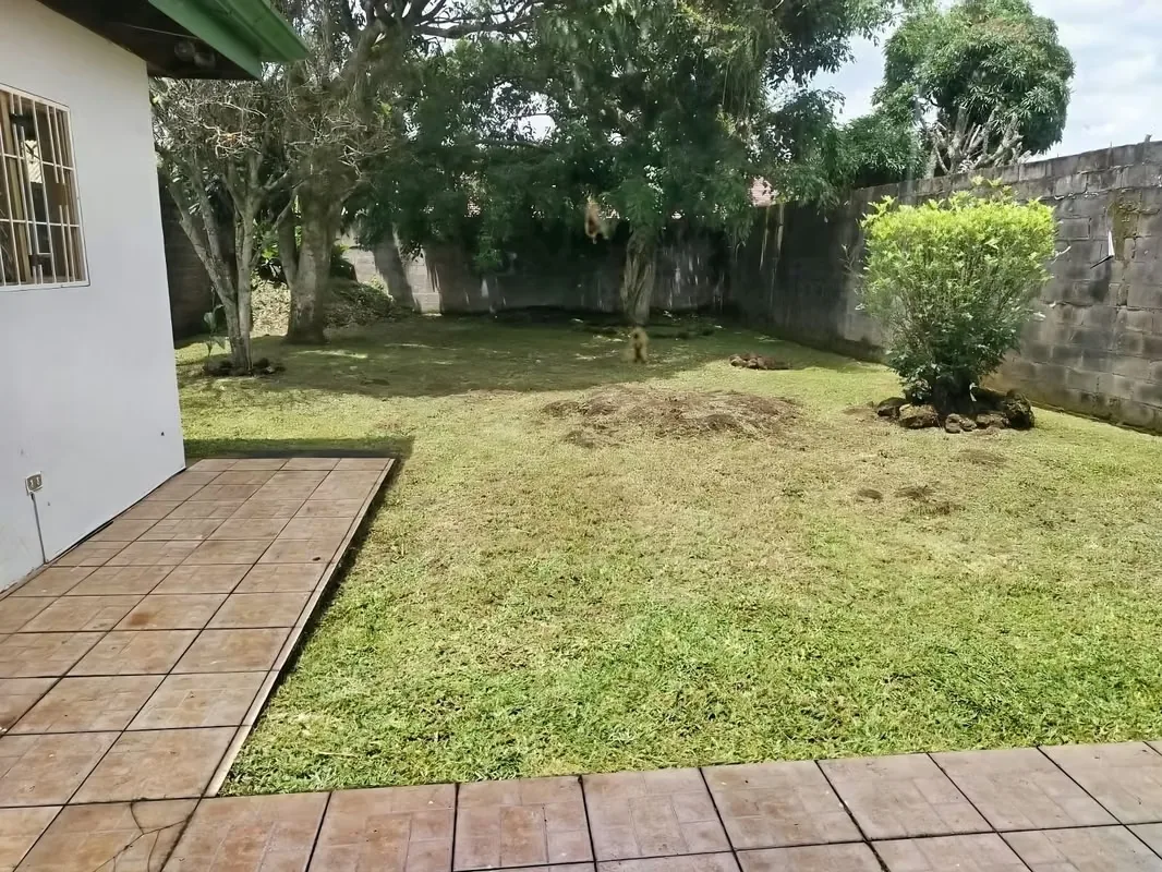 Commercial Property of 517 m2 for Sale - 124; Guayabos de Curridabat - Joint Use, photo 6