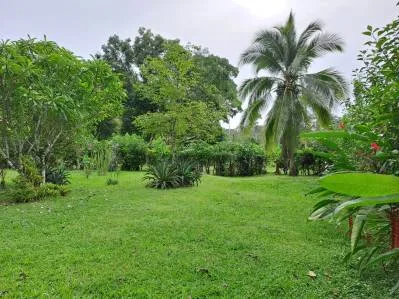 Lote Listo para Construir a Solo 250 Metros de la Playa en Playa Negra, photo 2