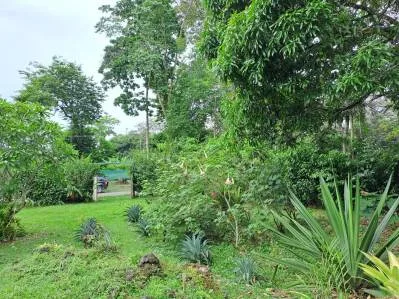 Lote Listo para Construir a Solo 250 Metros de la Playa en Playa Negra, photo 3