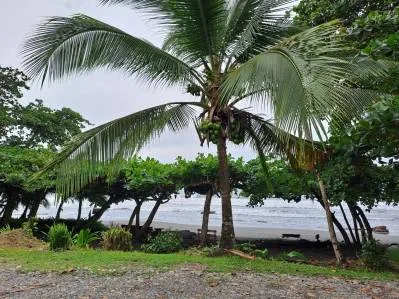 Lote Listo para Construir a Solo 250 Metros de la Playa en Playa Negra, photo 5