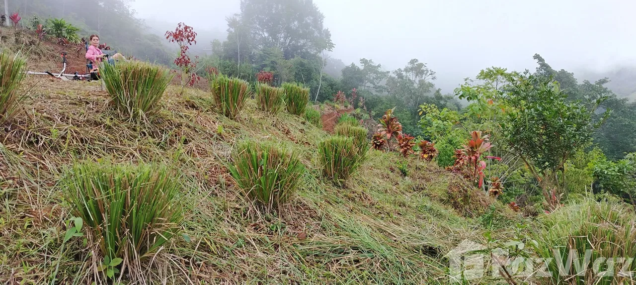 Land for Sale in Perez Zeledon, San Jose for $39,700, photo 2