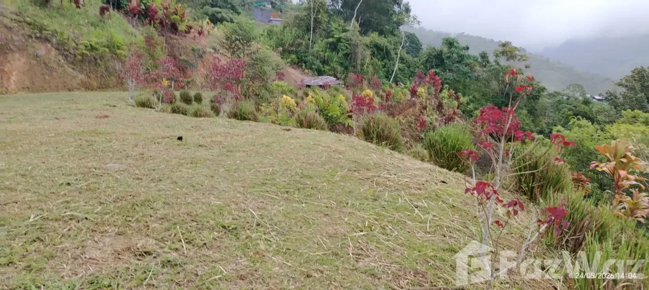 Land for Sale in Perez Zeledon, San Jose for $39,700, photo 10
