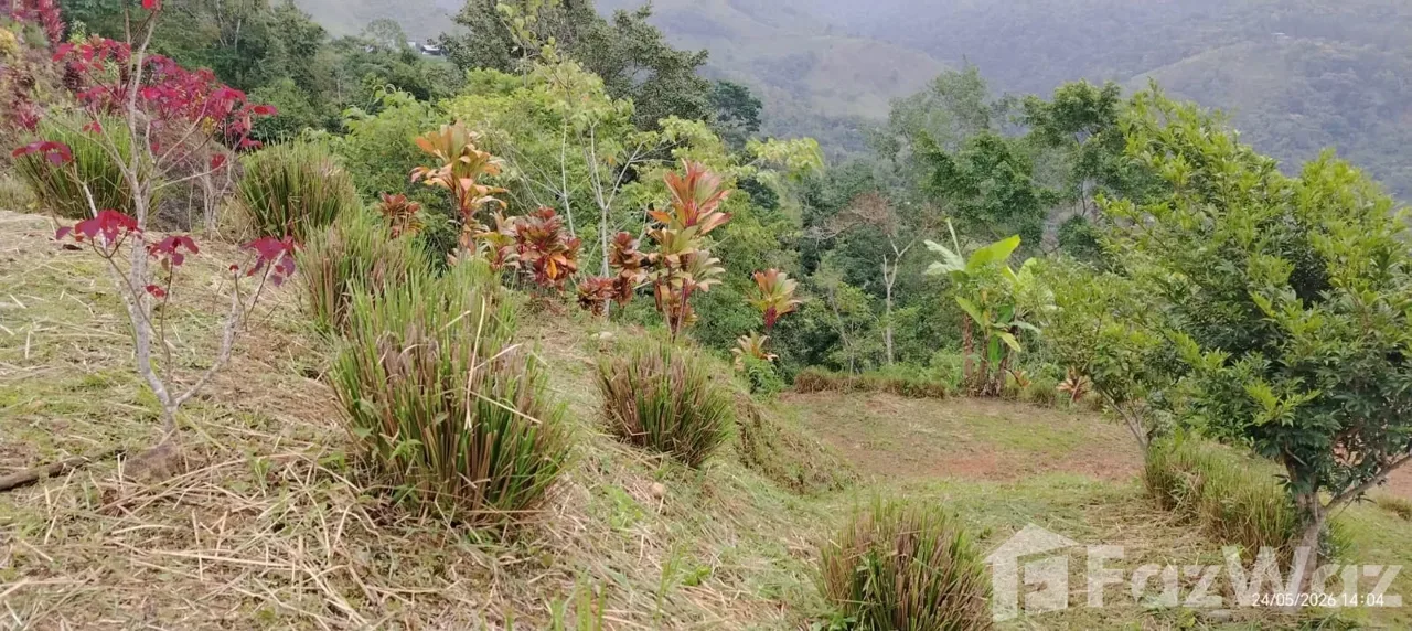 Land for Sale in Perez Zeledon, San Jose for $39,700, photo 11