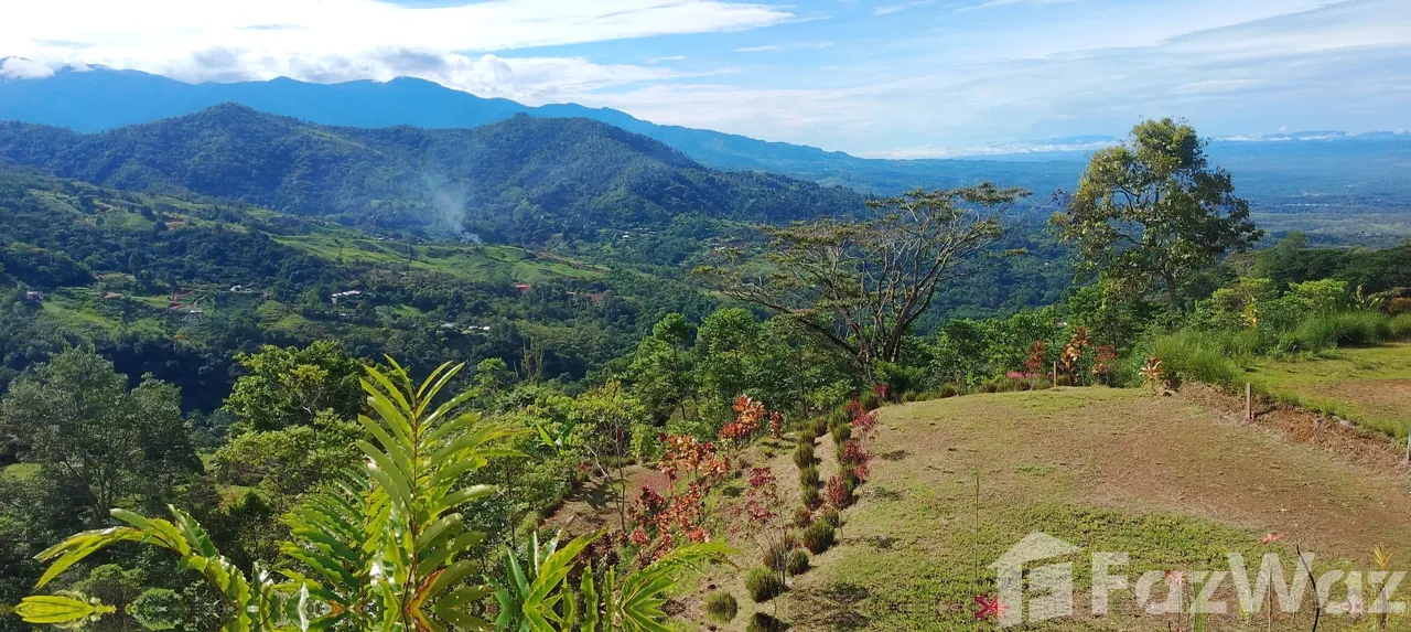 Land for Sale in Perez Zeledon, San Jose for $39,700, photo 13