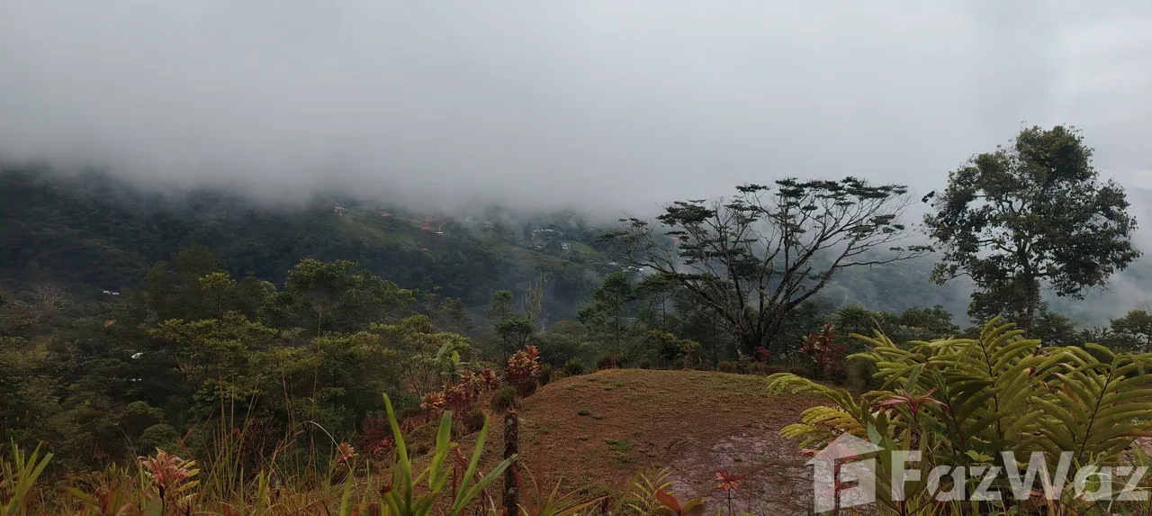 Land for Sale in Perez Zeledon, San Jose for $39,700, photo 6