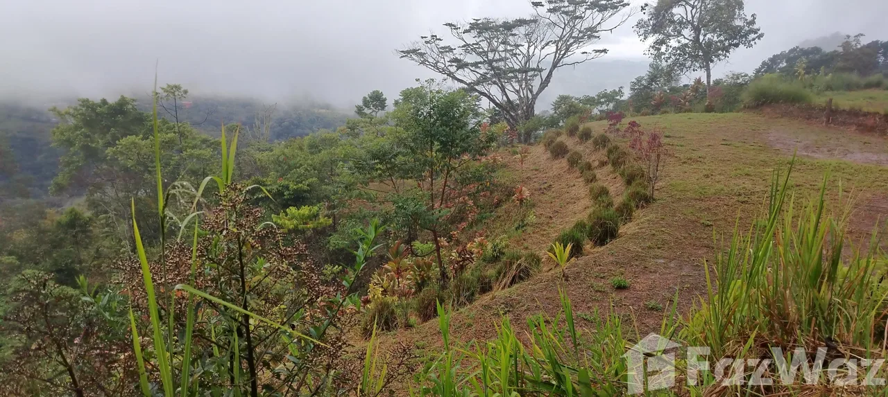 Land for Sale in Perez Zeledon, San Jose for $39,700, photo 7