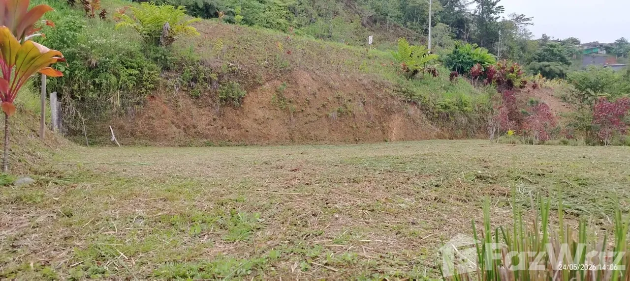 Land for Sale in Perez Zeledon, San Jose for $39,700, photo 9