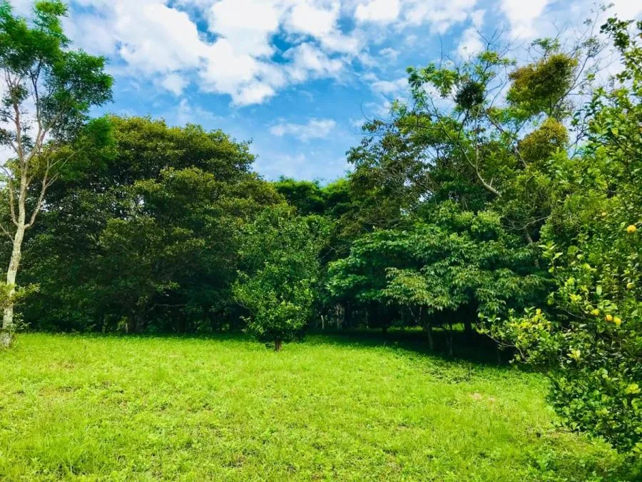 Venta de Terreno para una casa de ensueño (AC MLS#26-1024) - Venta en Colón, photo 11