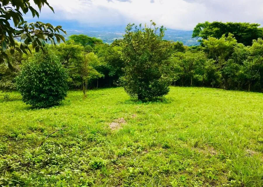 Venta de Terreno para una casa de ensueño (AC MLS#26-1024) - Venta en Colón, photo 13
