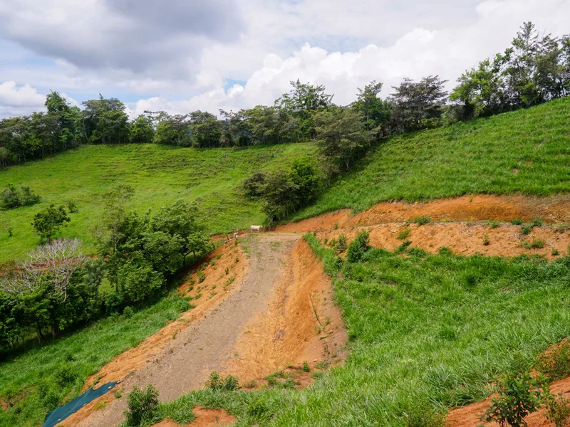 Land For Sale in Perez Zeledon, photo 14