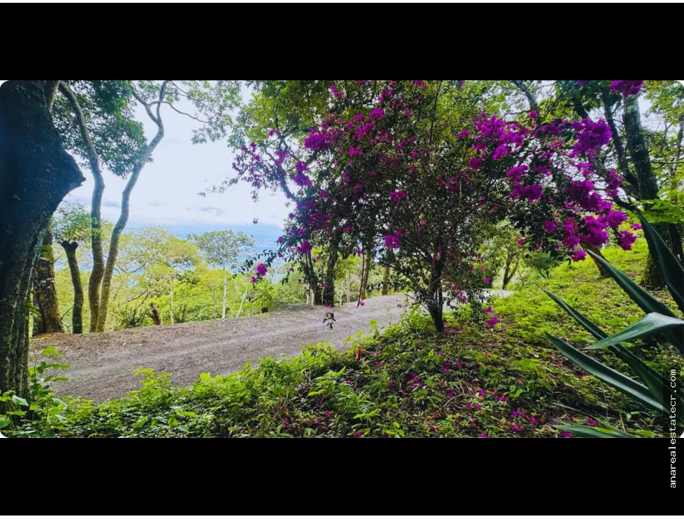 terreno in Piedades
