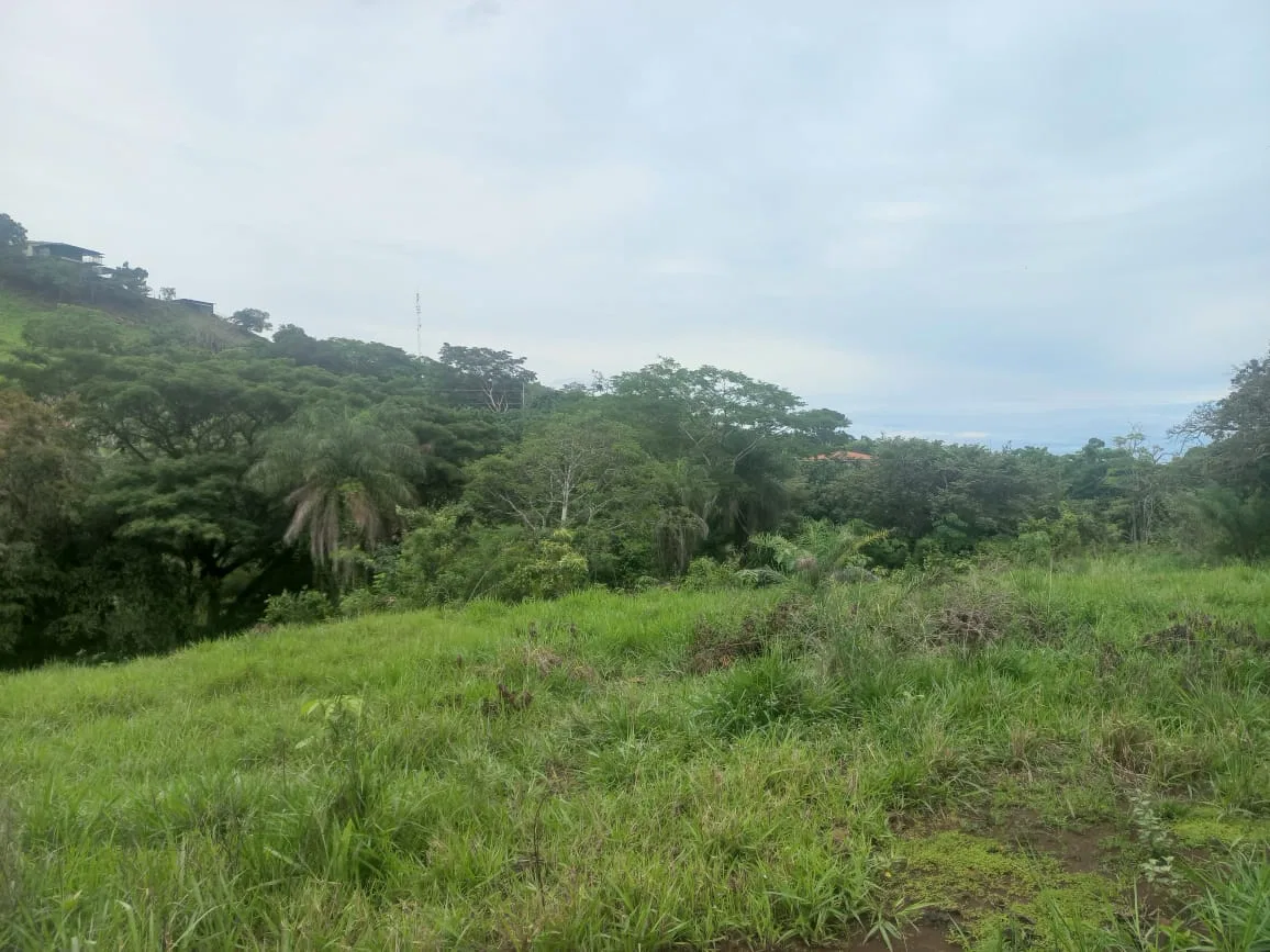 Este terreno en San Juan Grande de Esparza no es “otro lote más”