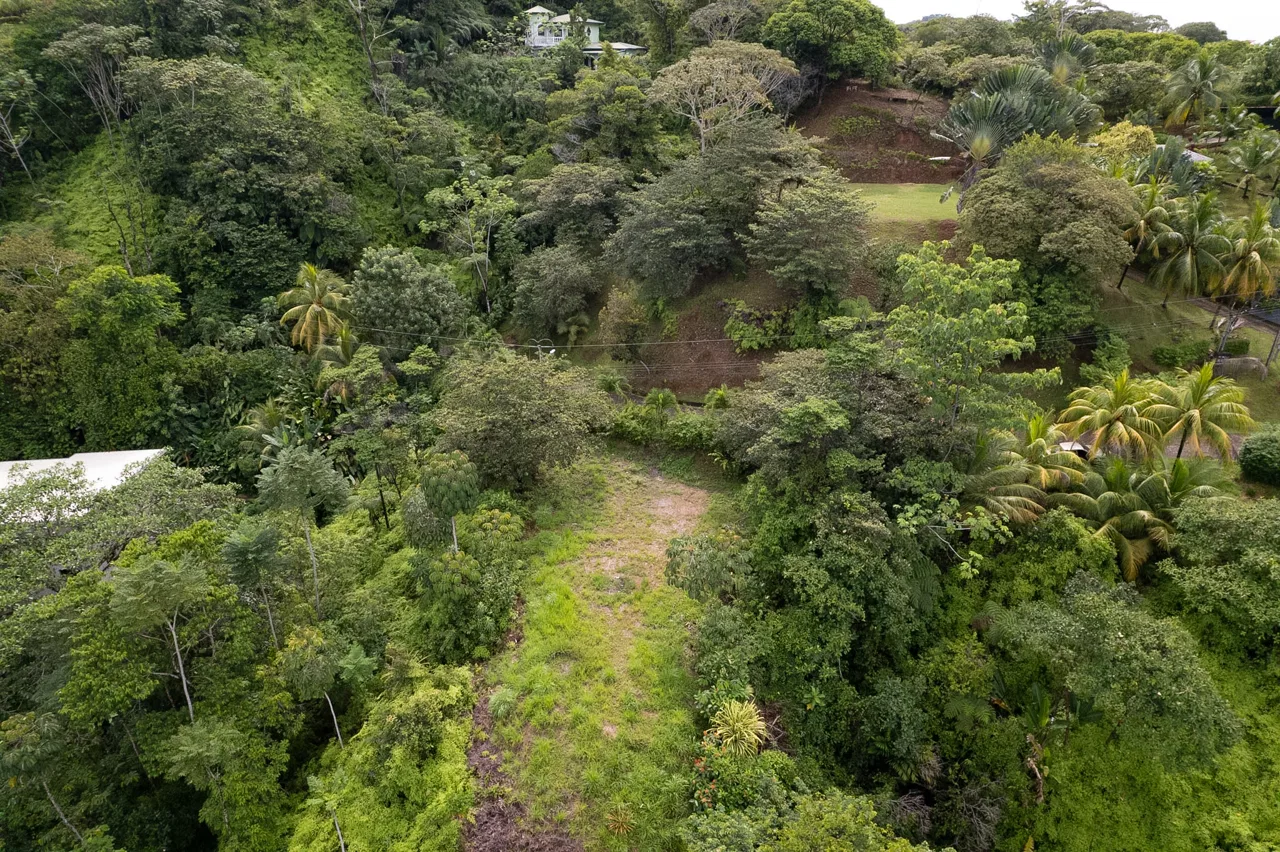 OCEAN & MOUNTAIN VIEW LOT IN CALLE PEREZOSO – 0.6 ACRES, photo 11