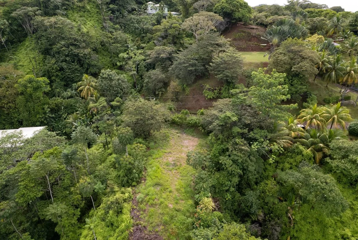 OCEAN & MOUNTAIN VIEW LOT IN CALLE PEREZOSO – 0.6 ACRES, photo 12