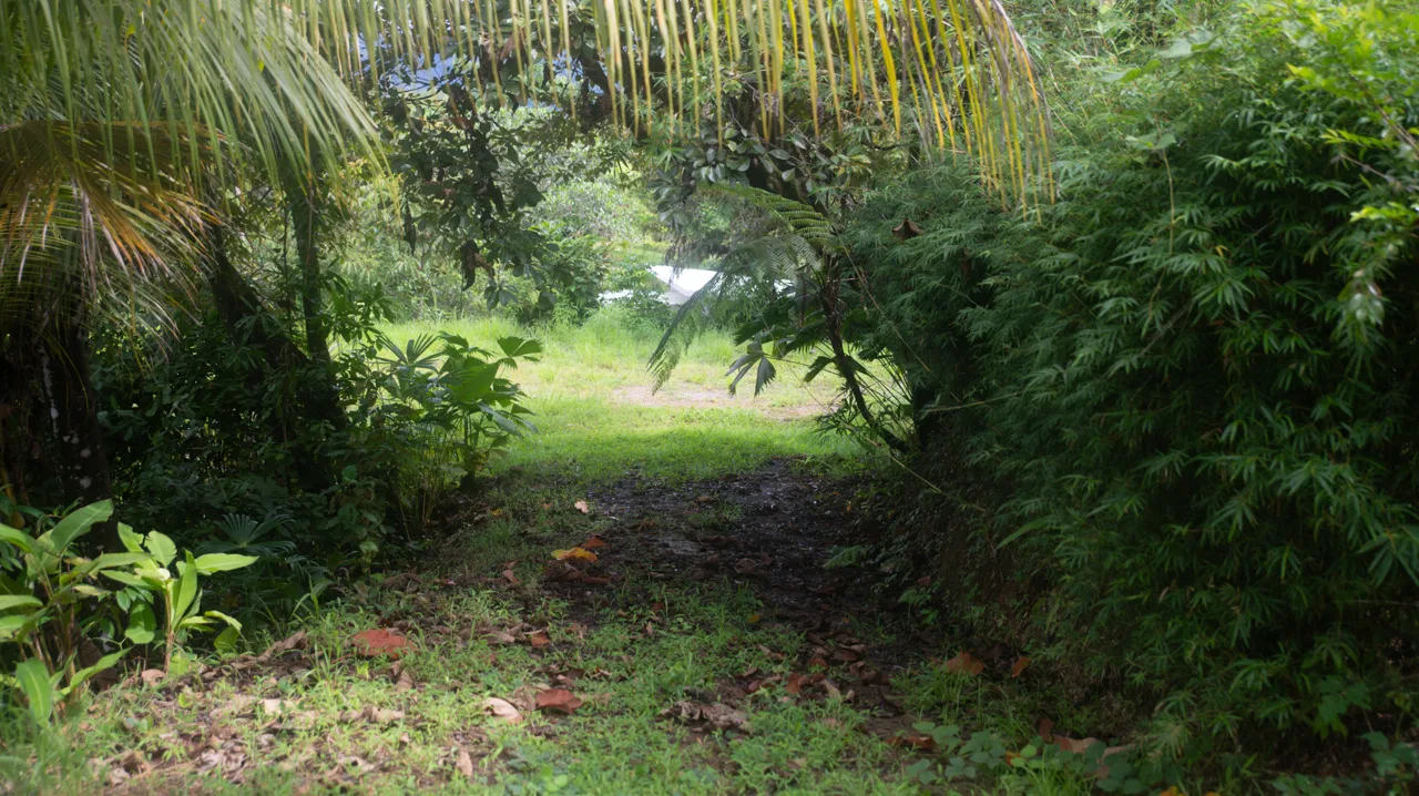 OCEAN & MOUNTAIN VIEW LOT IN CALLE PEREZOSO – 0.6 ACRES, photo 13