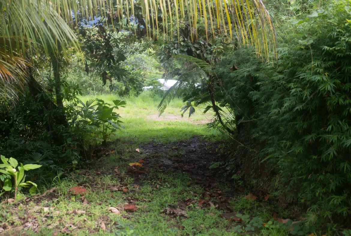 OCEAN & MOUNTAIN VIEW LOT IN CALLE PEREZOSO – 0.6 ACRES, photo 14