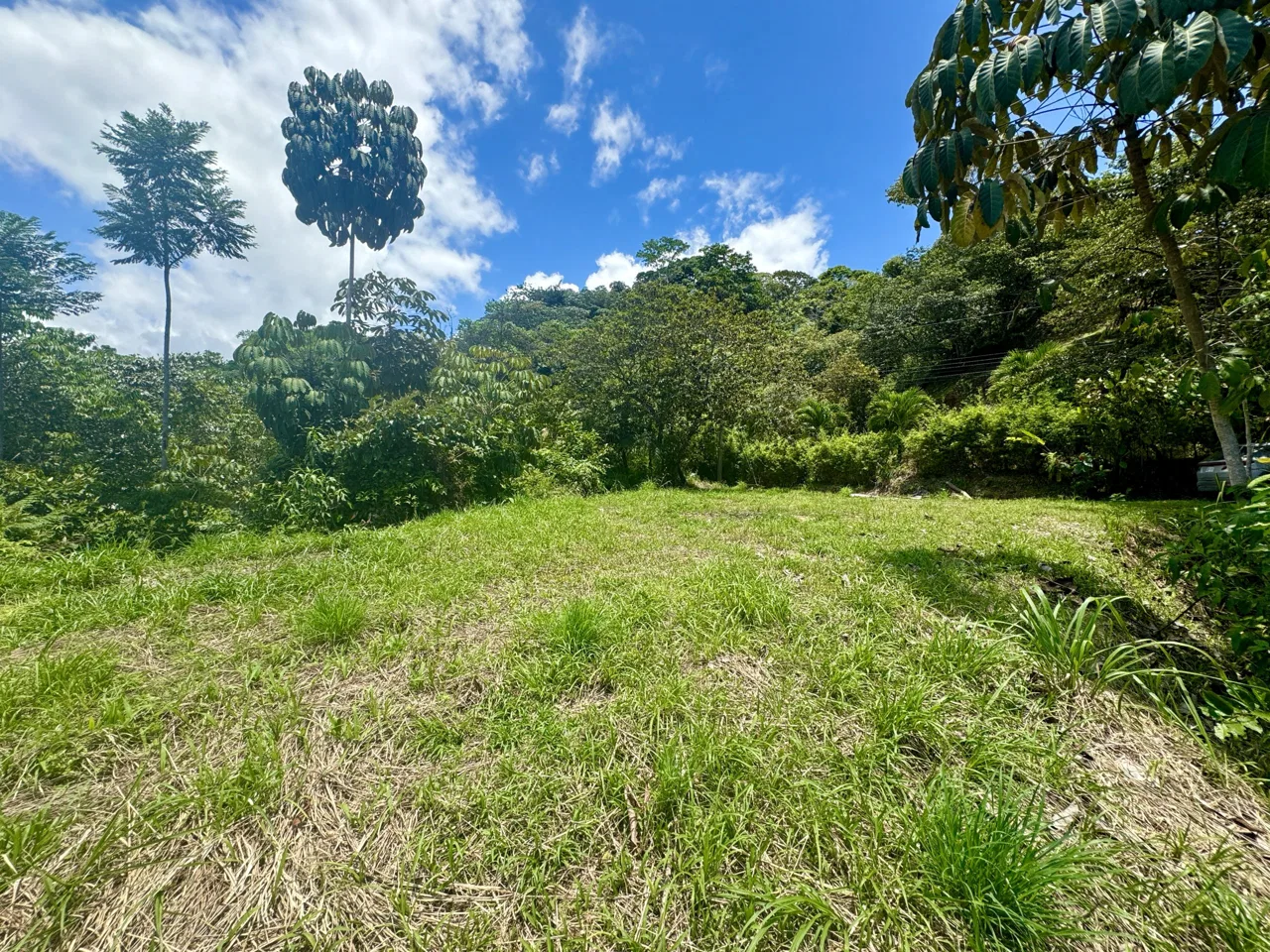 OCEAN & MOUNTAIN VIEW LOT IN CALLE PEREZOSO – 0.6 ACRES, photo 15