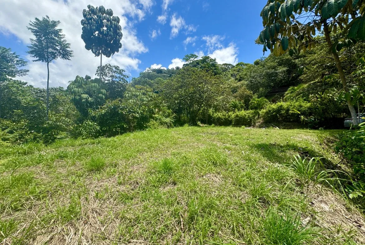 OCEAN & MOUNTAIN VIEW LOT IN CALLE PEREZOSO – 0.6 ACRES, photo 16